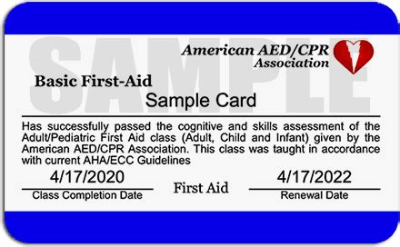 Online First Aid Training Class