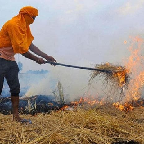 What is Stubble Burning ? Impact on Air Pollution, Alternative of ...