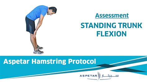 4. Assessment - Standing Trunk Flexion - YouTube