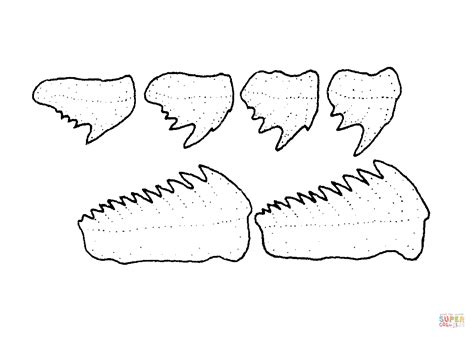 Hexanchus Griseus (Bluntnose Sixgill Shark) - Teeth coloring page ...