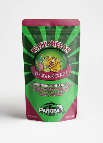 Pangea Watermelon Mango Complete Crested Gecko Food | Fringemorphs