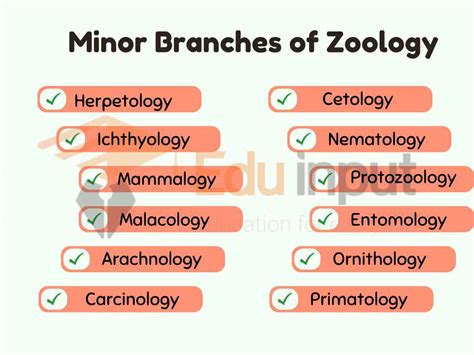 Zoology-History, Branches, Scope, Importance, and Applications