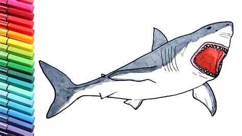 Megalodon Shark Drawing at GetDrawings | Free download