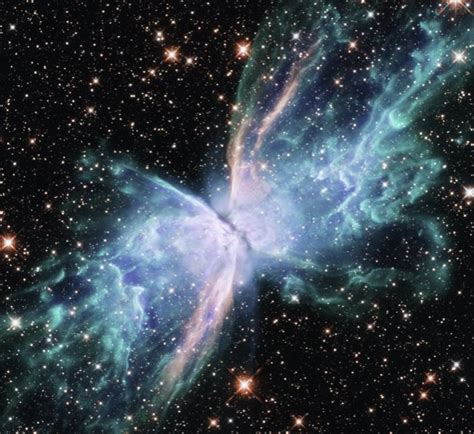 Butterfly 🦋 Nebula | Planetary nebula, Hubble images, Hubble photos