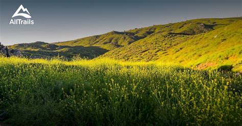 Best hikes and trails in Sycamore Canyon Wilderness Park | AllTrails