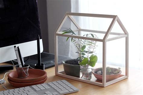 How to make a Mini Greenhouse - Dossier Blog