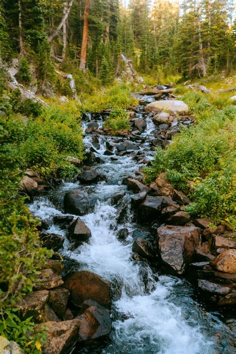 Alpine Lake Hiking Elopement in Colorado - Mikayla Renee Photo