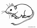 Cute Mice Coloring Pages sketch template