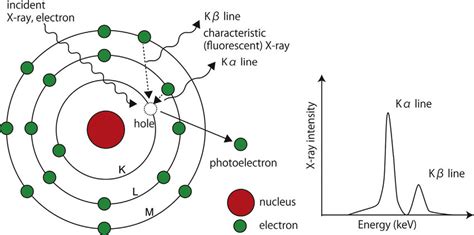 Production of x-ray - radiologystar