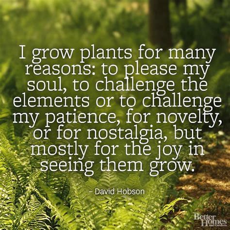 12 Life-Inspiring Gardening Quotes to Share Your Love for Nature