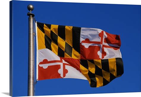 Maryland State Flag Wall Art, Canvas Prints, Framed Prints, Wall Peels ...