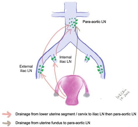 JCM | Free Full-Text | Applications and Safety of Sentinel Lymph Node ...