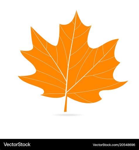 Autumn orange leaf Royalty Free Vector Image - VectorStock