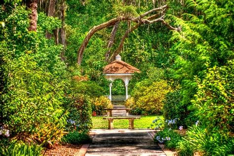 Discover Leu Gardens in Orlando, FL ⎜ Van Rental