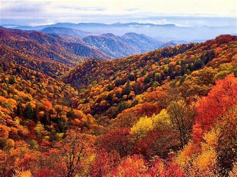 Smoky Mountains Fall Colors 2024 - Time Change 2024 Fall Back