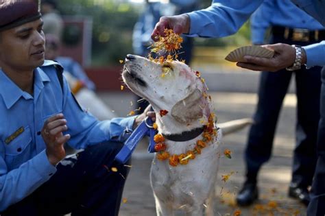 Kukur Tihar (Kukur Puja): the Nepalese Festival that Celebrates Dogs