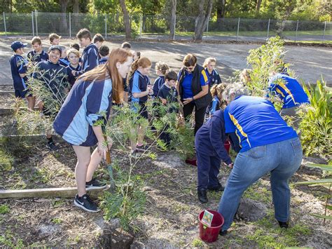 Anna Bay Public School Tree planting. | Planting some more t… | Flickr