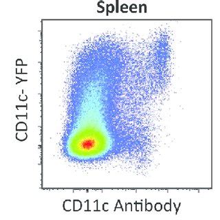 Representative data showing poor correlation between CD11c surface... | Download Scientific Diagram