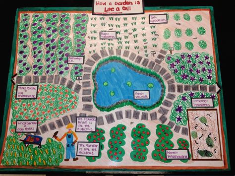 img_0856.jpg (3264×2448) | Cell city project, Cells project, Cell analogy