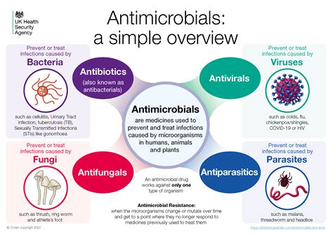 Antimicrobials, Antimicrobial Resistance and Antimicrobial Stewardship – Antibiotic Guardian