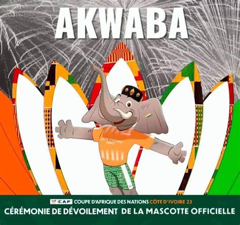 2023 AFCON: Ivory Coast Reveals Official Mascot - Mimi Mefo Info