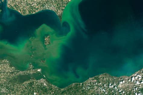 See Satellite Imagery of Algal Blooms in the Great Lakes | Time