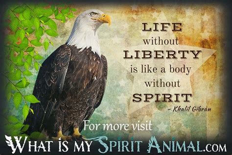 Eagle Quotes & Sayings | Animal Quotes & Sayings