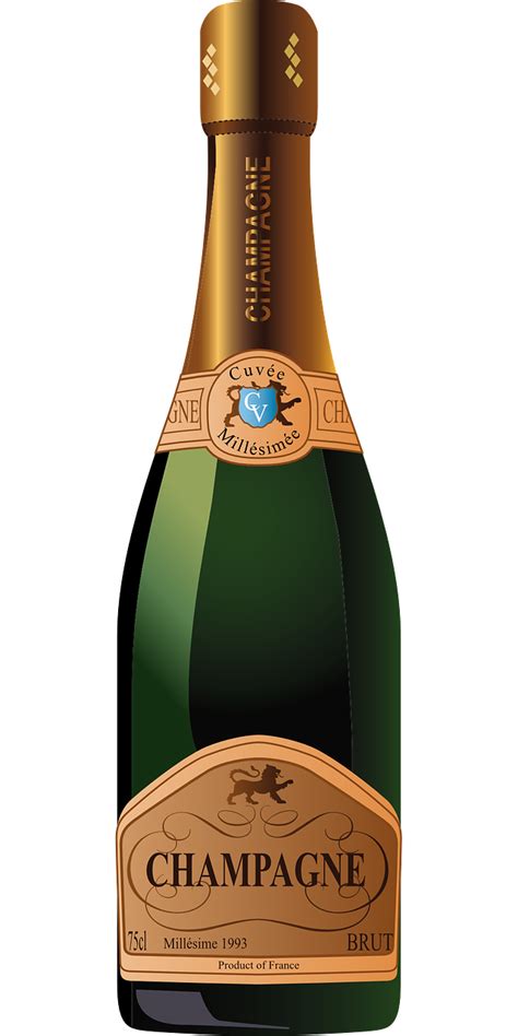 champagne bottle clip art 20 free Cliparts | Download images on ...