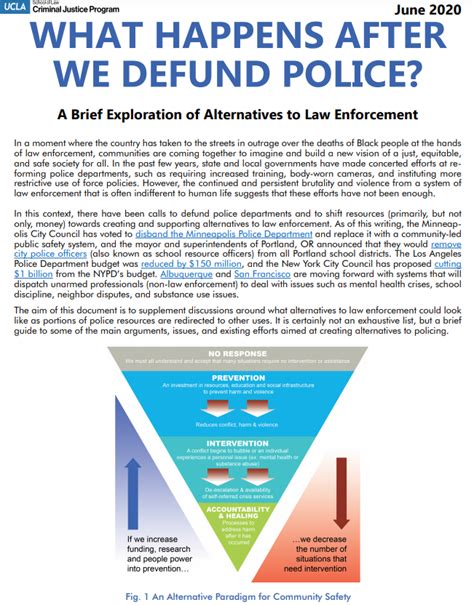 What Happens After We Defund Police? A Brief Exploration of Alternatives to Law Enforcement ...