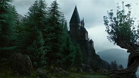 The Forbidden Forest Harry Potter Wallpapers - Wallpaper Cave