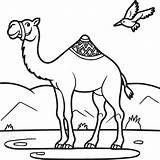 Illustration Of camels In The desert Coloring Book For Children And  sketch template