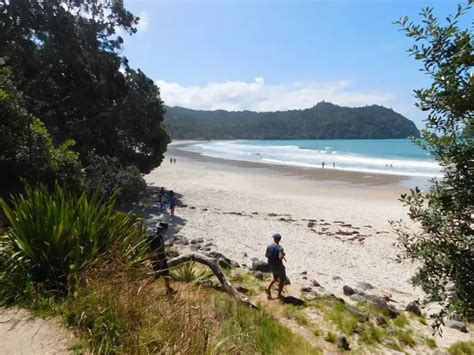 The Very Best Things To Do in Coromandel Town