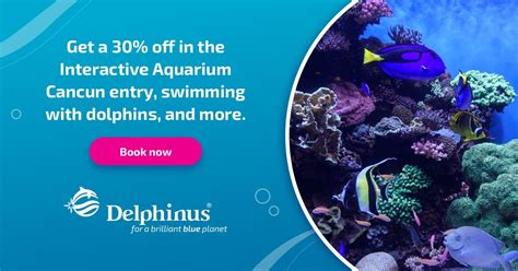 Interactive Aquarium Cancun | Aquarium Trek + Swim with dolphins | Delphinus