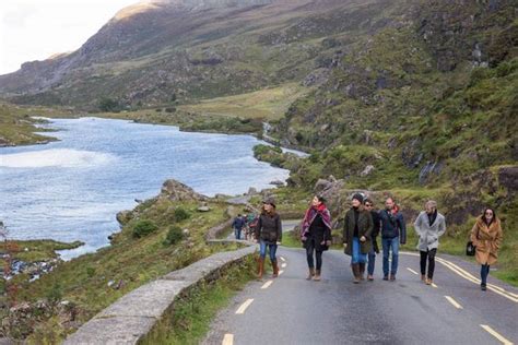 Ireland's best woodland walks for a stroll this winter