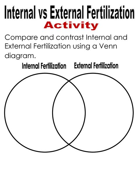 Internal Fertilization Diagram