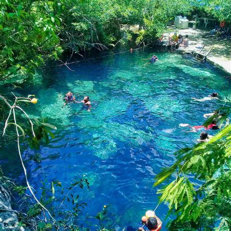 Conoce el cenote azul en Playa del Carmen - Best Tourist Maya