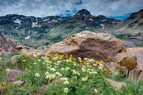 Uinta-Wasatch-Cache National Forest