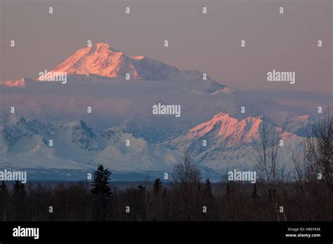 Mount Denali in the morning light, Denali National Park and Preserve ...