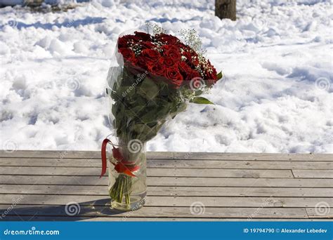 Roses bouquet on the snow stock photo. Image of romantic - 19794790