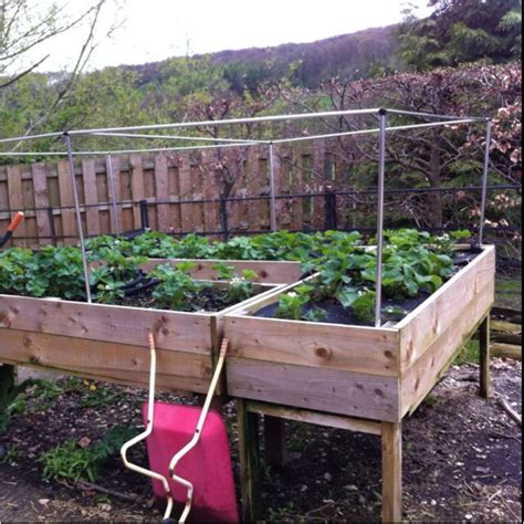 Raised strawberry bed, ready for netting. | Raised strawberry beds ...