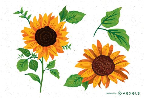 Sunflower Illustrations Pack Vector Download