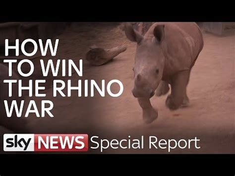 Hunting rhino poachers in the Kruger National Park | Kruger national park, Rhino, National parks