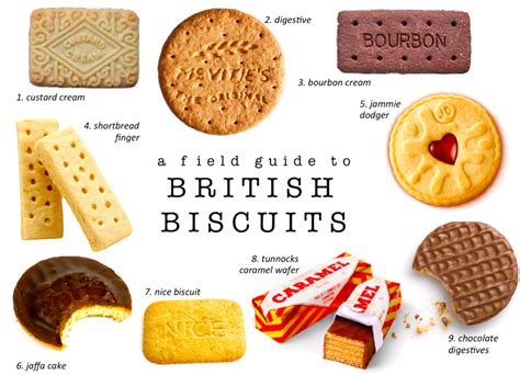 A Field Guide to British Biscuits — Aspiring Kennedy