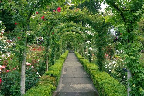 A Path through the Rose Garden at Butchart Gardens Stock Photo - Image ...