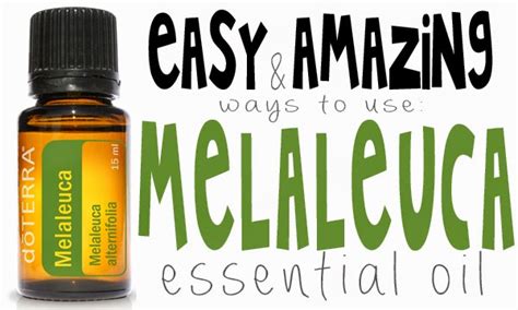 a champagne dream: Easy & Amazing Uses for Melaleuca Essential Oil