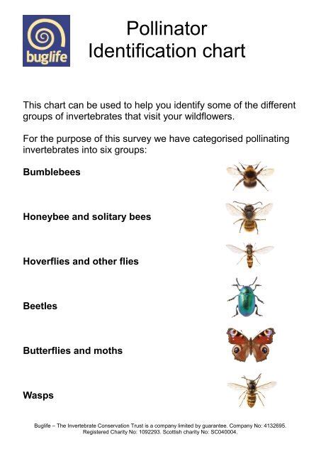 Pollinator identification chart