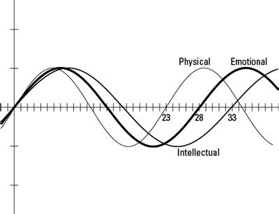 Graph Biorhythm Cycles - dummies