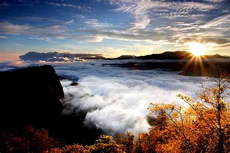 Alishan National Scenic Area, Taiwan, plants, ocean, moumtain, sunrise ...