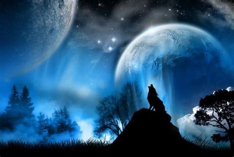 Wolf Anime Wallpaper | Animals Library