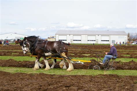 Horse drawn plow competition | Smithsonian Photo Contest | Smithsonian ...